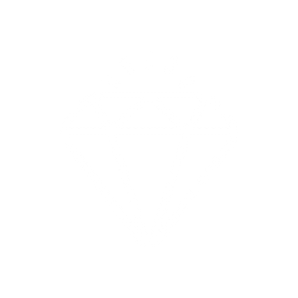 Value Over Sleep Session: Experience